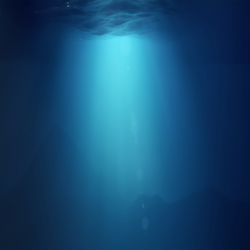 profile_img