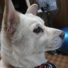 profile_img
