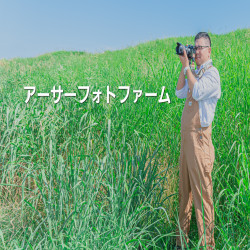 profile_img