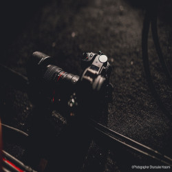 profile_img